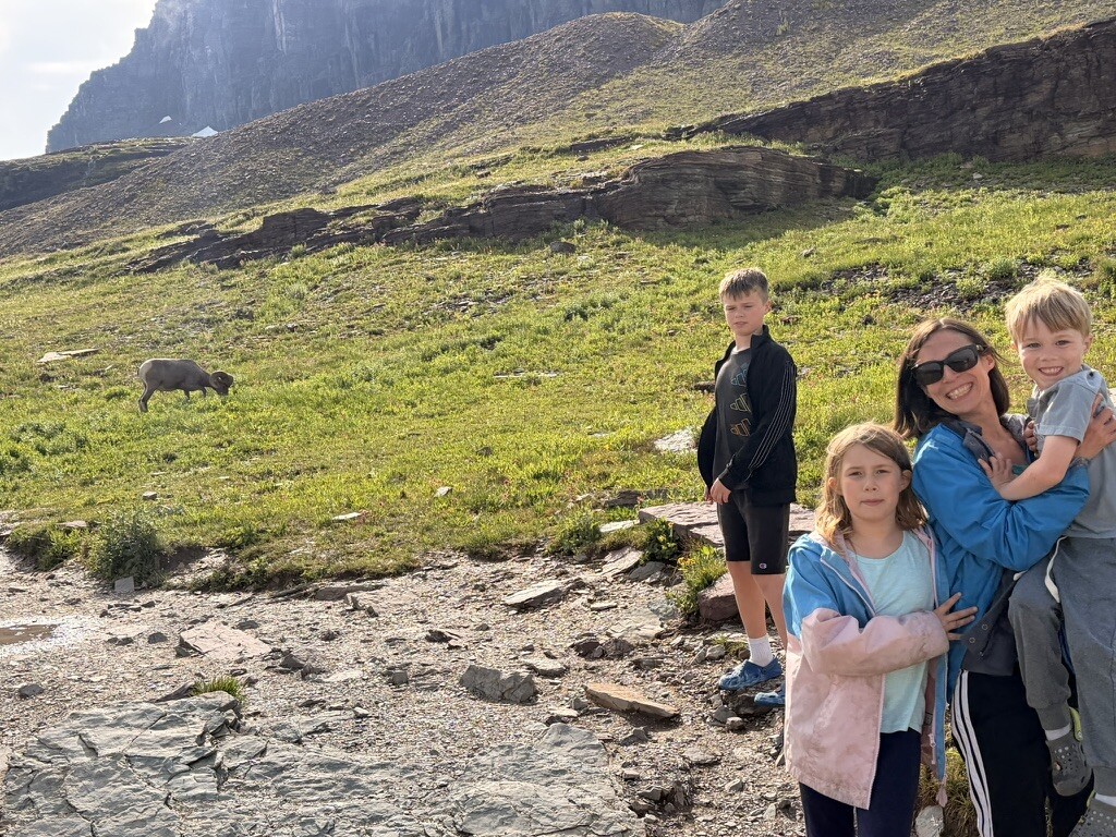Family together on the Hidden Lake Trail with a bighorn sheep behind them