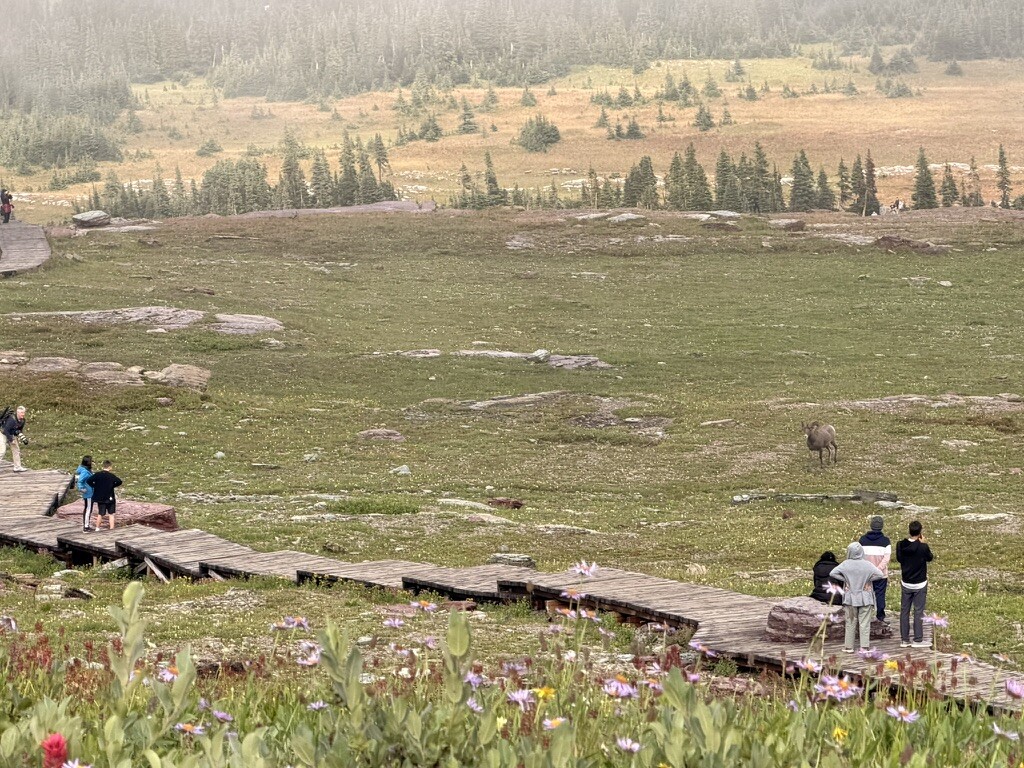 Family resting along the Hidden Lake Trail