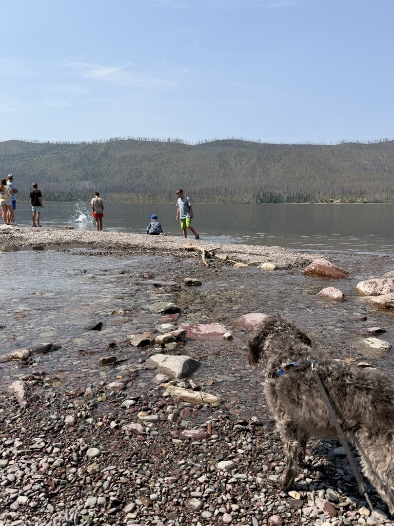 Children playing among the rocks at the shore of Lake McDonald