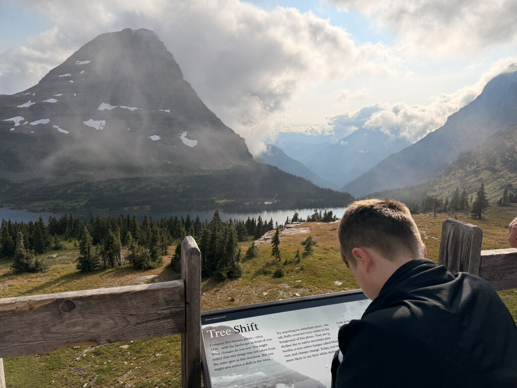 A child looking across the mountains at Logan Pass