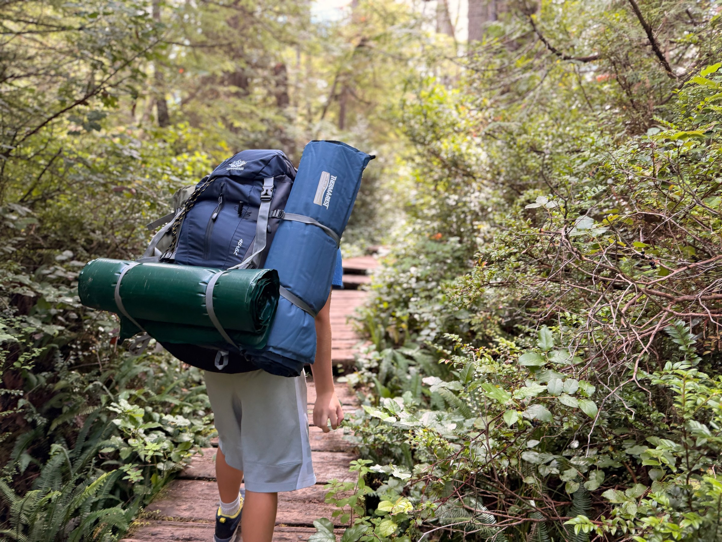 Birch walking a wooden boardwalk through the rainforest with a backpack