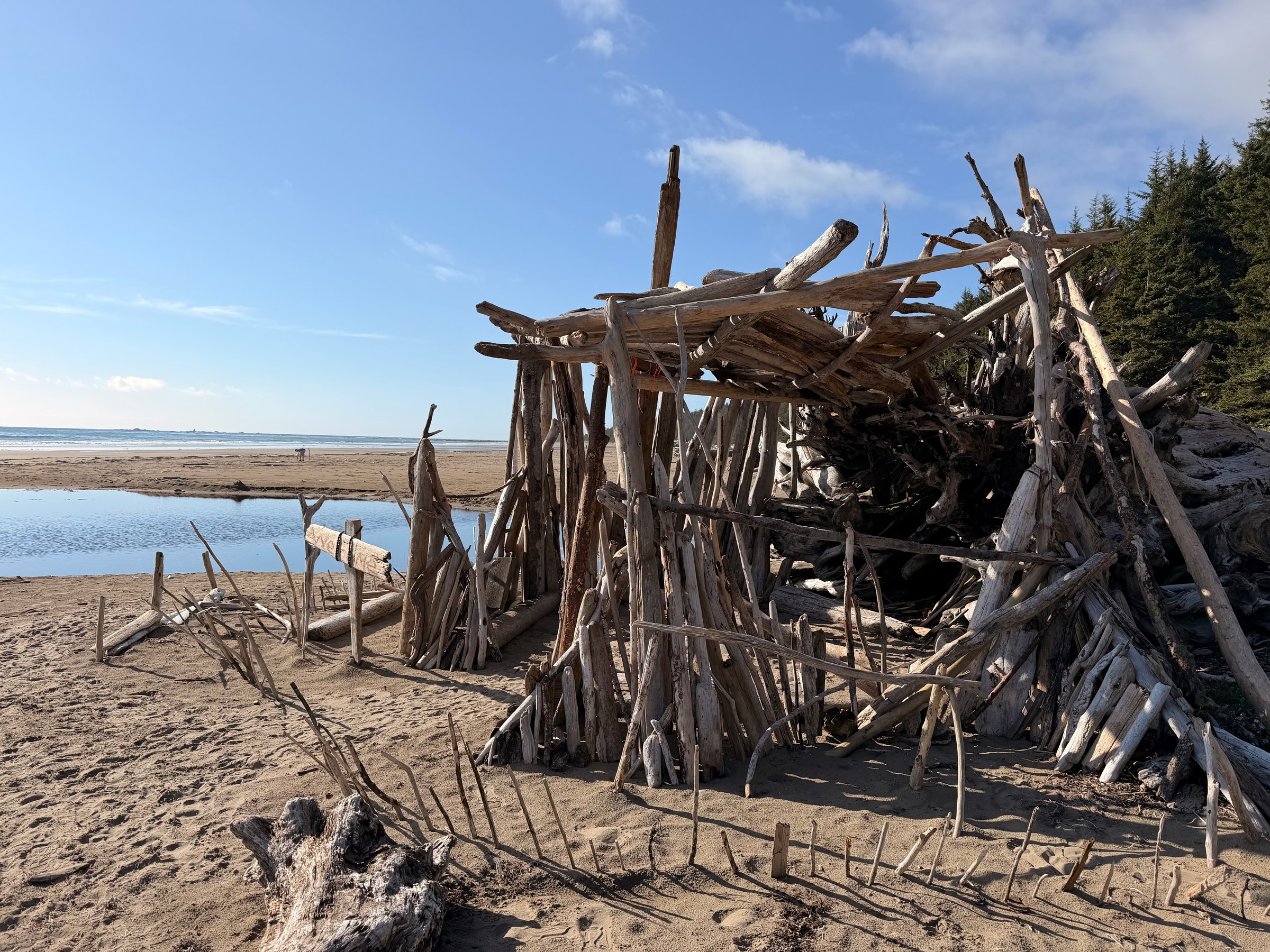 A small shelter built from driftwood near the South Sand Point campsite