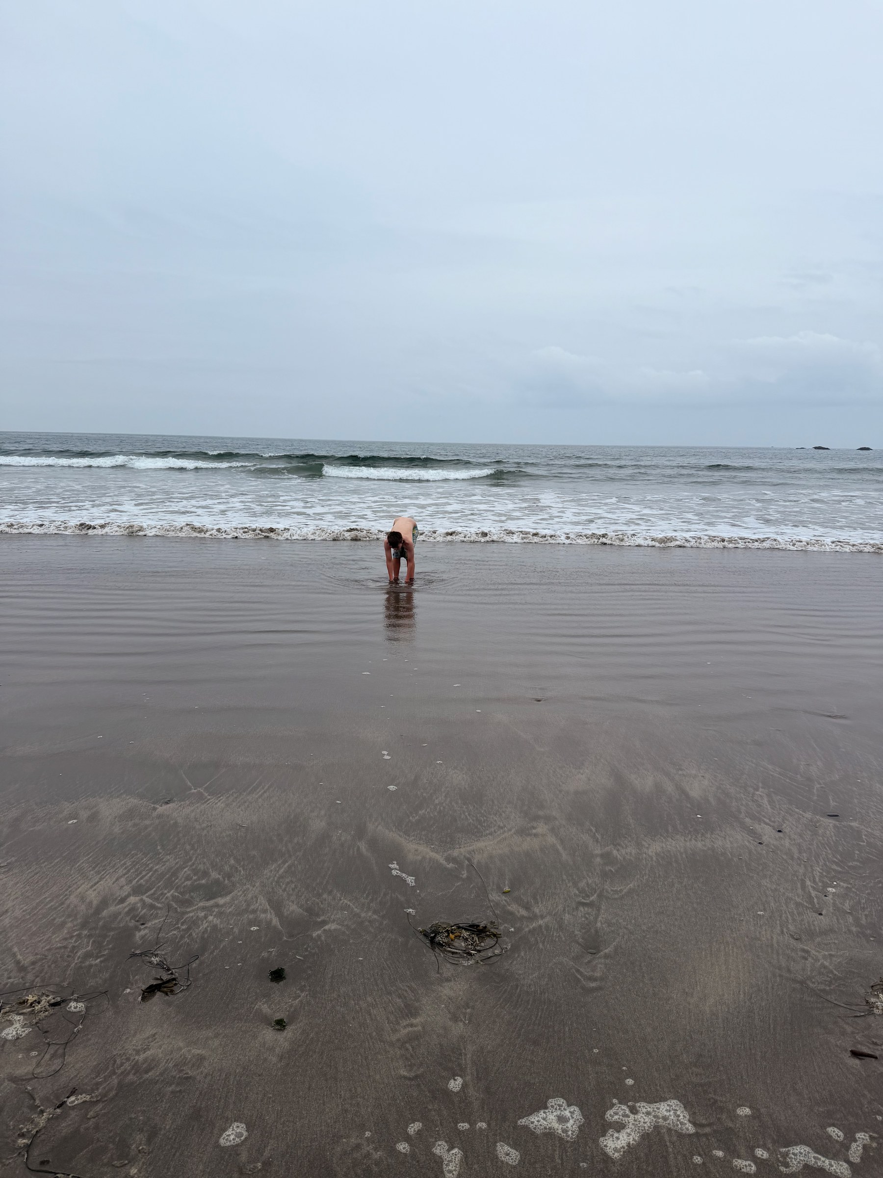 Birch standing in the shallow Pacific water on Sunday morning