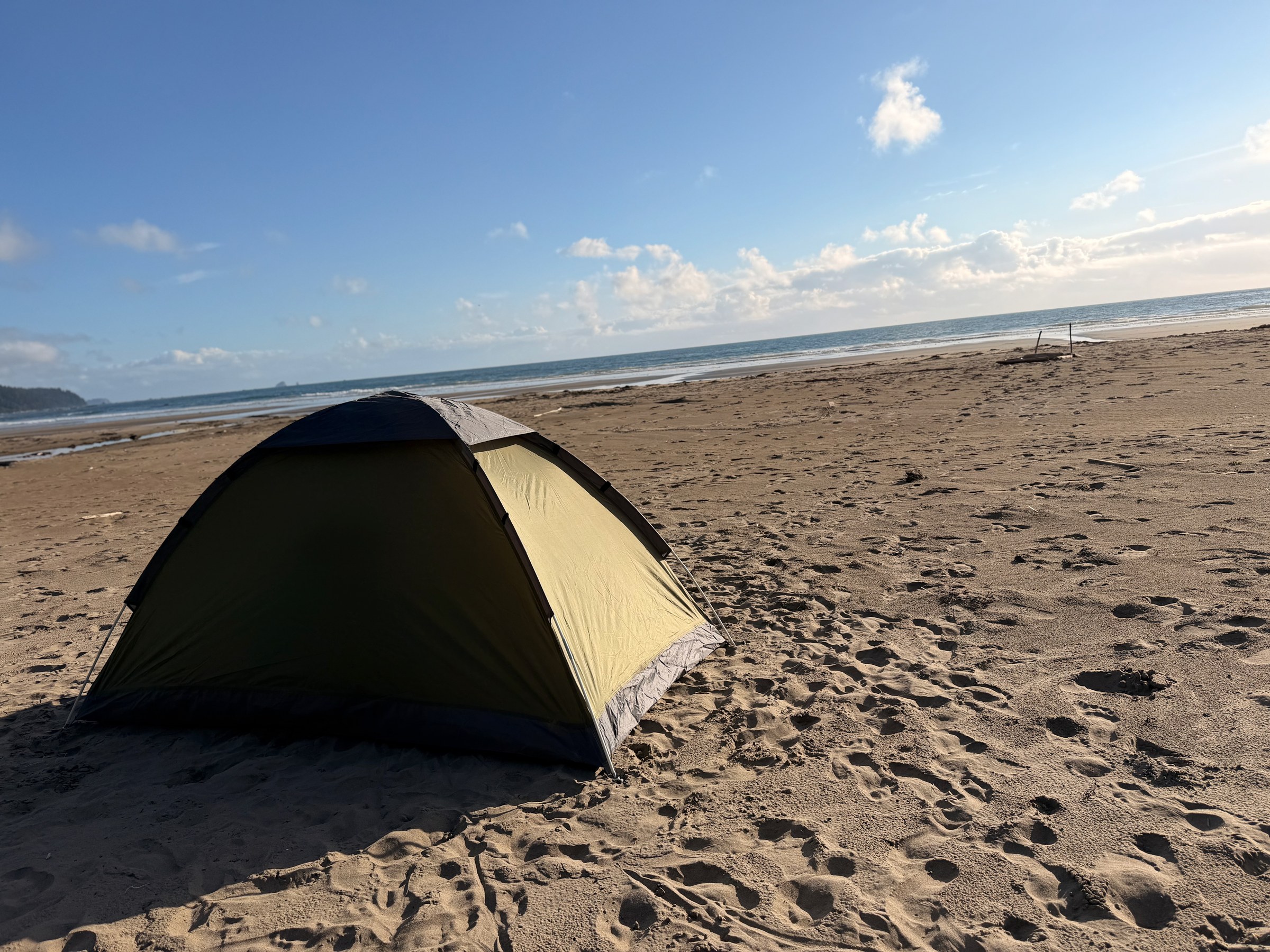 The backpacking tent pitched on the sand near the forest