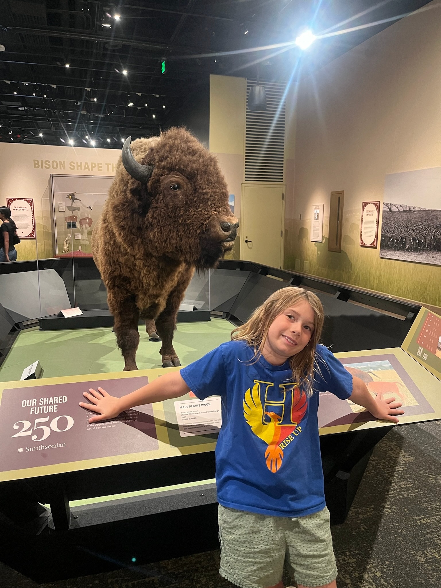 Maple posing in front of a bison display at the National Museum of Natural History