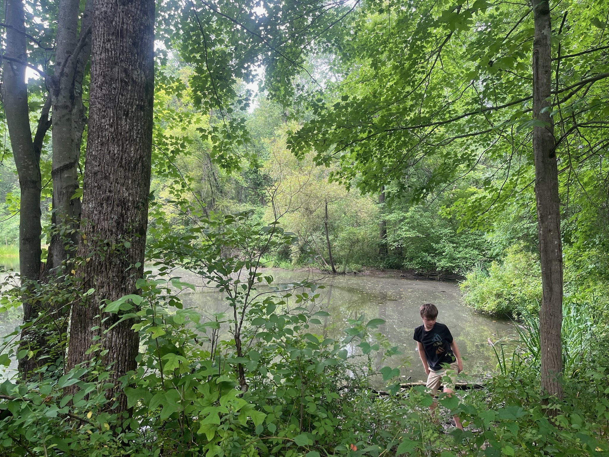 A child exploring the woods and creek near Flower Valley
