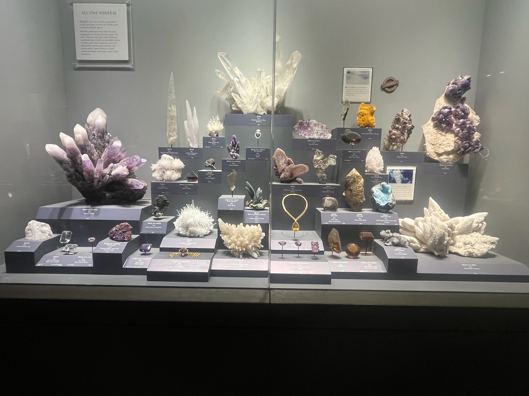 A display case filled with gems and mineral specimens