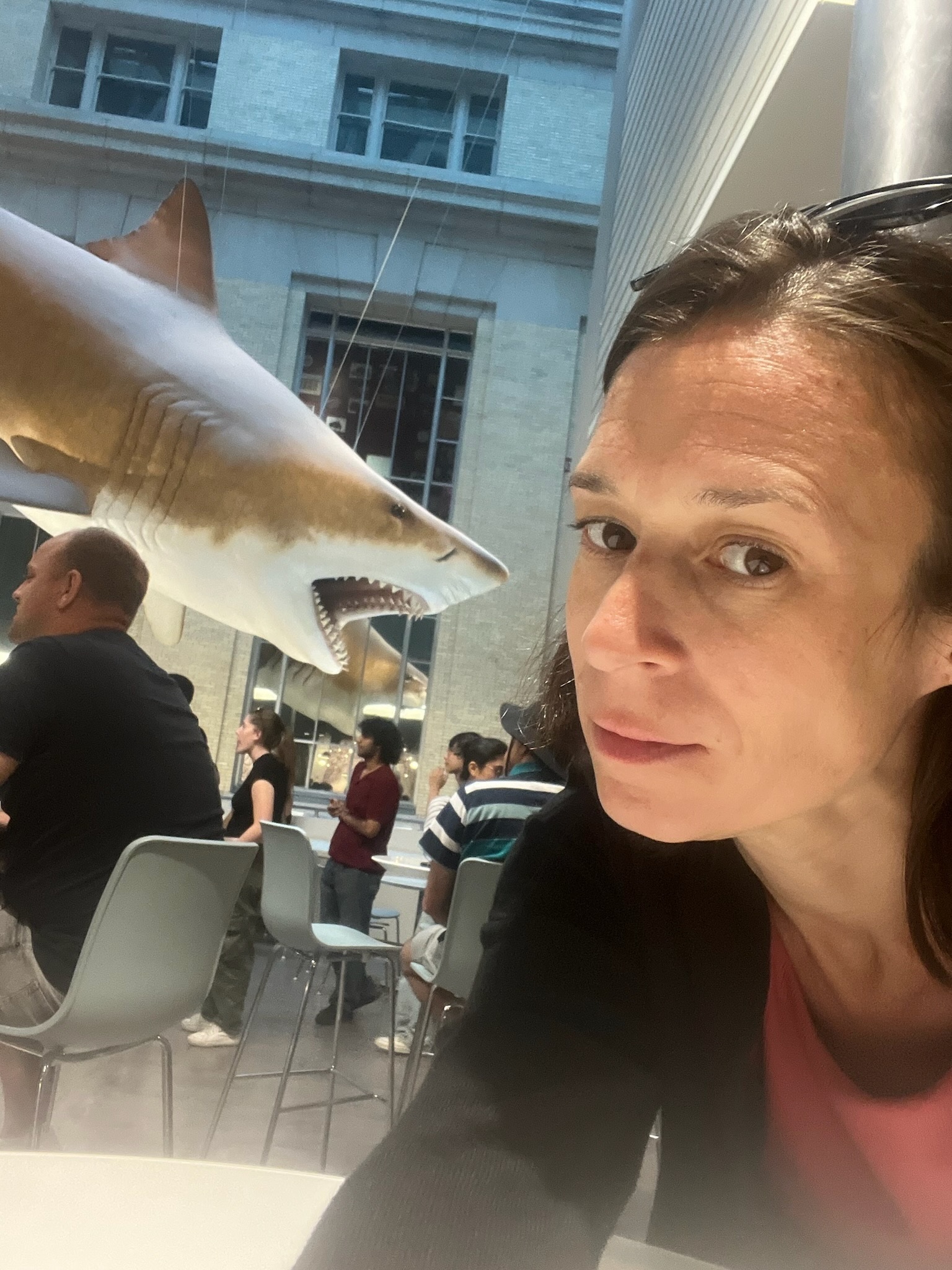 Stacey posing beneath a suspended shark in the museum atrium